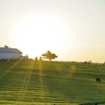 Эмоциональное путешествие в мир деревенской магии игры Bigger Barn House