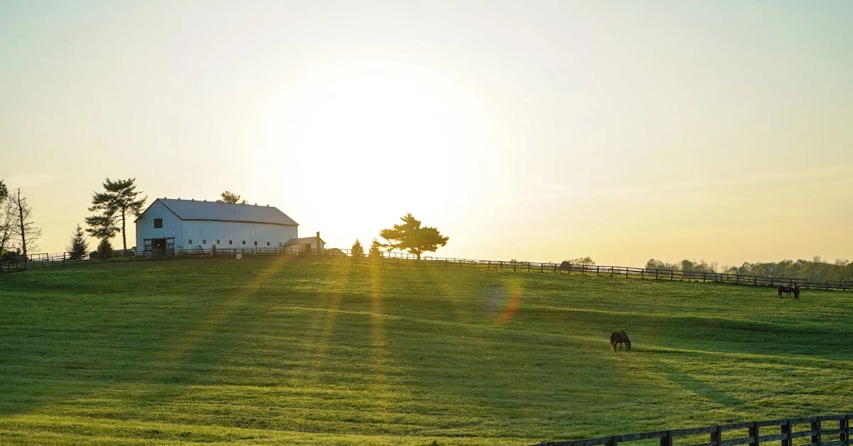 Эмоциональное путешествие в мир деревенской магии игры Bigger Barn House