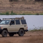 Эмоциональное погружение в африканскую саванну Great Rhino Megaways игра