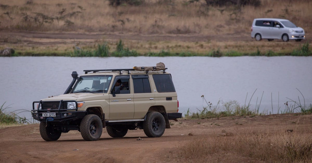 Эмоциональное погружение в африканскую саванну Great Rhino Megaways игра